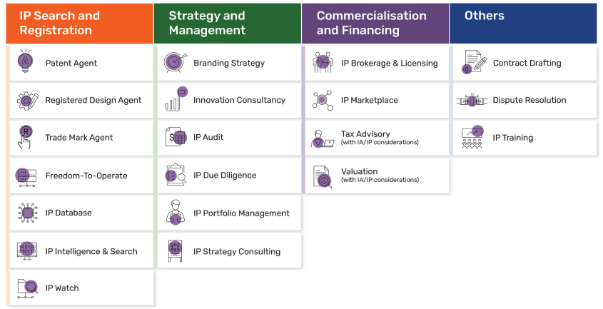 IA/IP Services